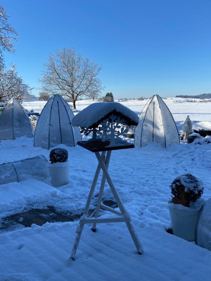 Das Blaue Haus - Ein Sommertraum Und Ein Wintermaerchen Weiler-Simmerberg Zewnętrze zdjęcie