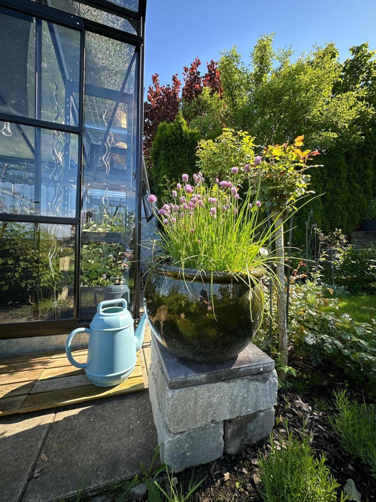 Das Blaue Haus - Ein Sommertraum Und Ein Wintermaerchen Weiler-Simmerberg Zewnętrze zdjęcie